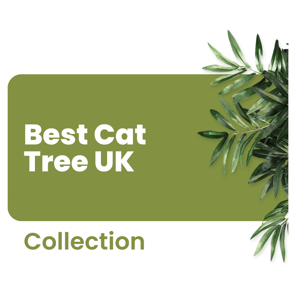 Best Cat Tree UK