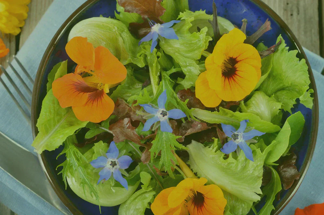 Edible Flowers Guide: Grow, Cook & Safely Enjoy Floral Flavors
