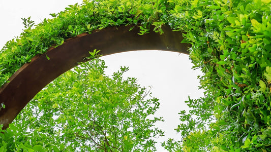 Can You Buy Just the Top of a Garden Arch?