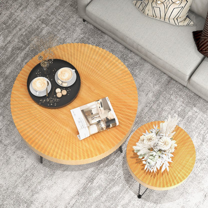 Set of 2 Boho Farmhouse Coffee Table 