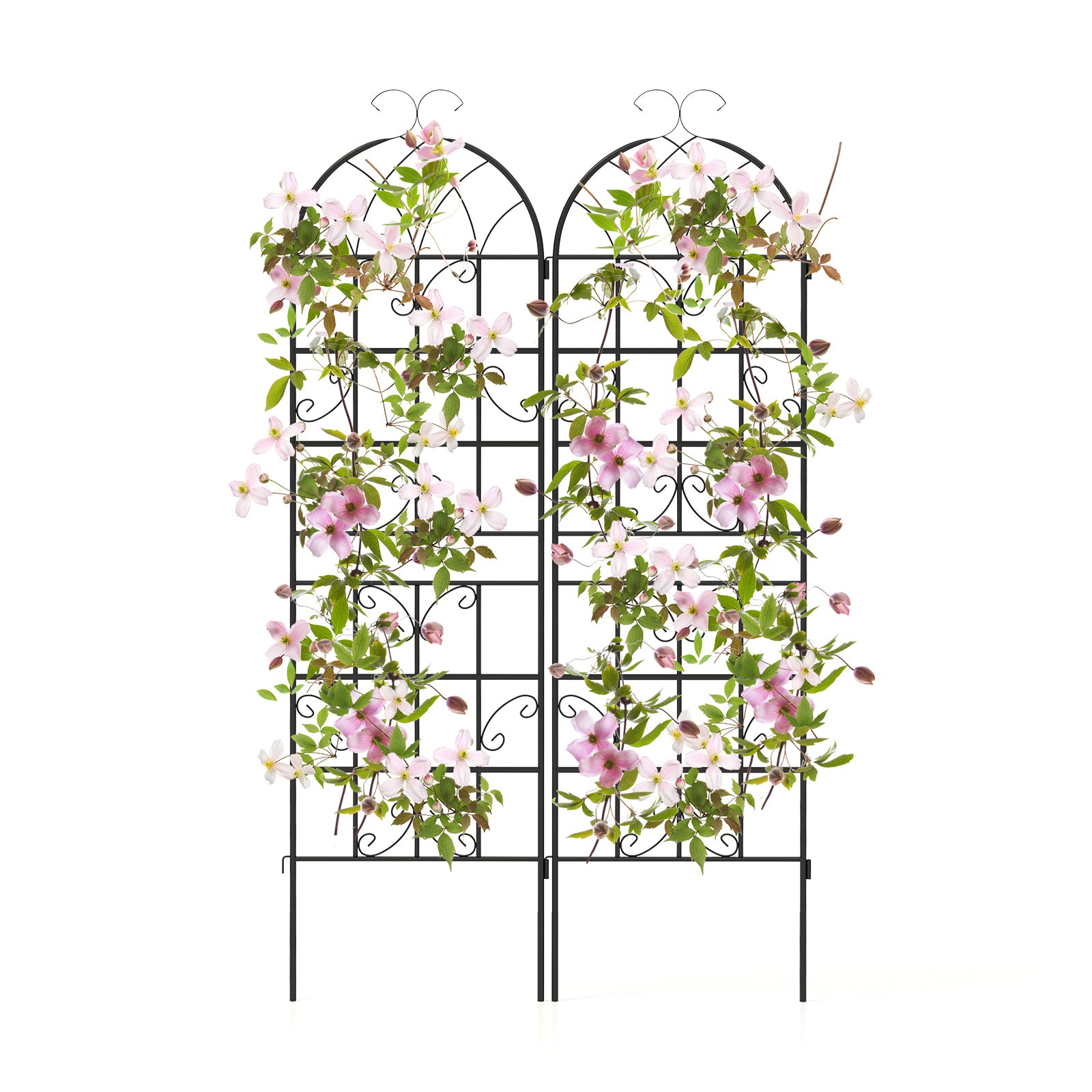 2/4 Pack 180 cm x 50 cm Metal Garden Trellis Decorative for Climbing Plants-2 Pack