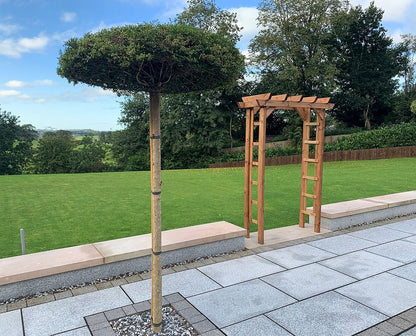 Devonshire Grand Arch