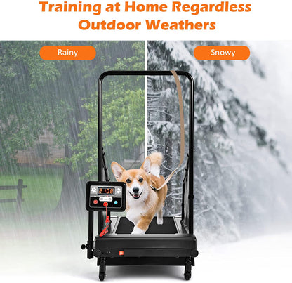 Dog Treadmill with Remote Control and Display Screen