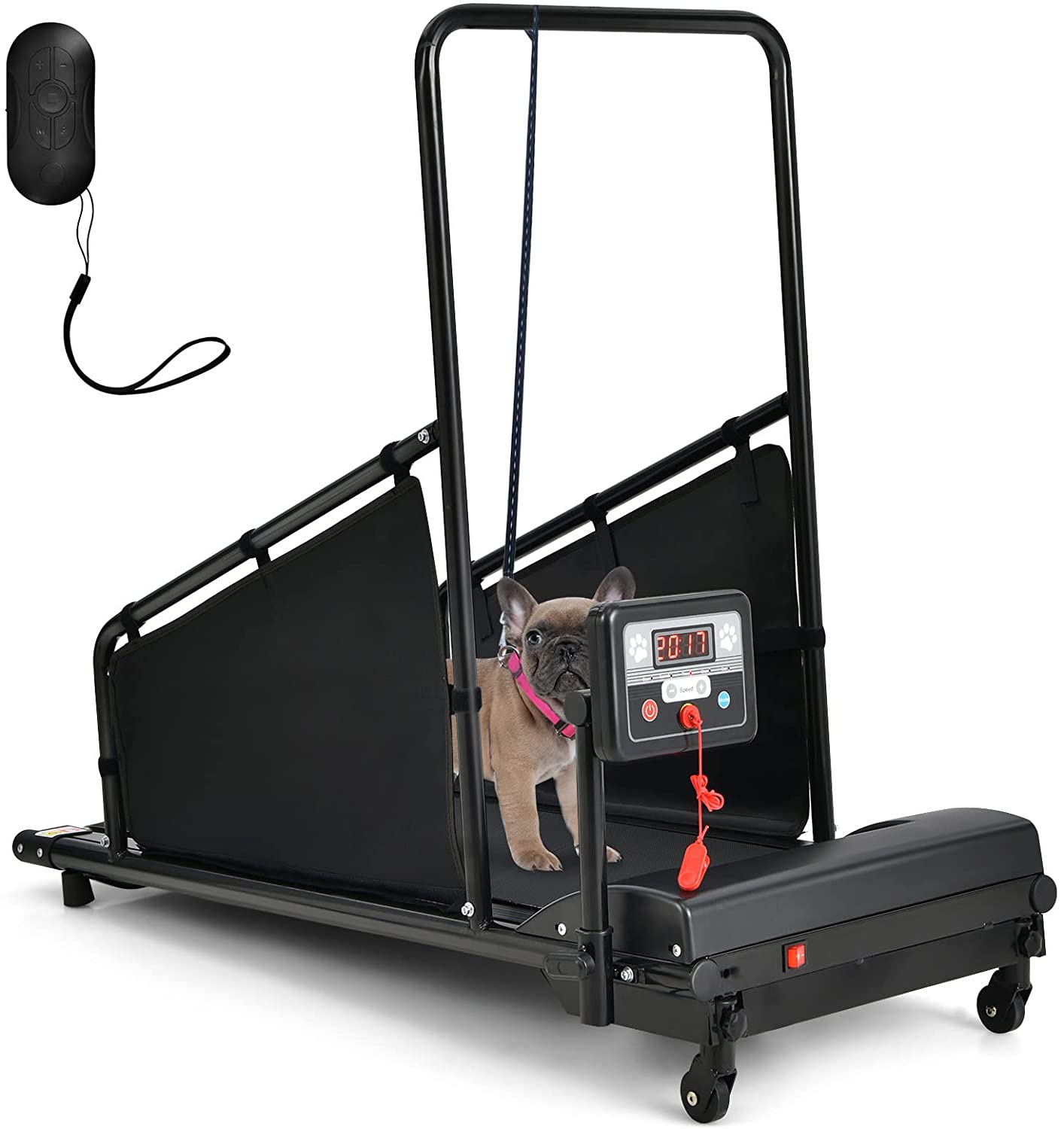 Dog Treadmill with Remote Control and Display Screen