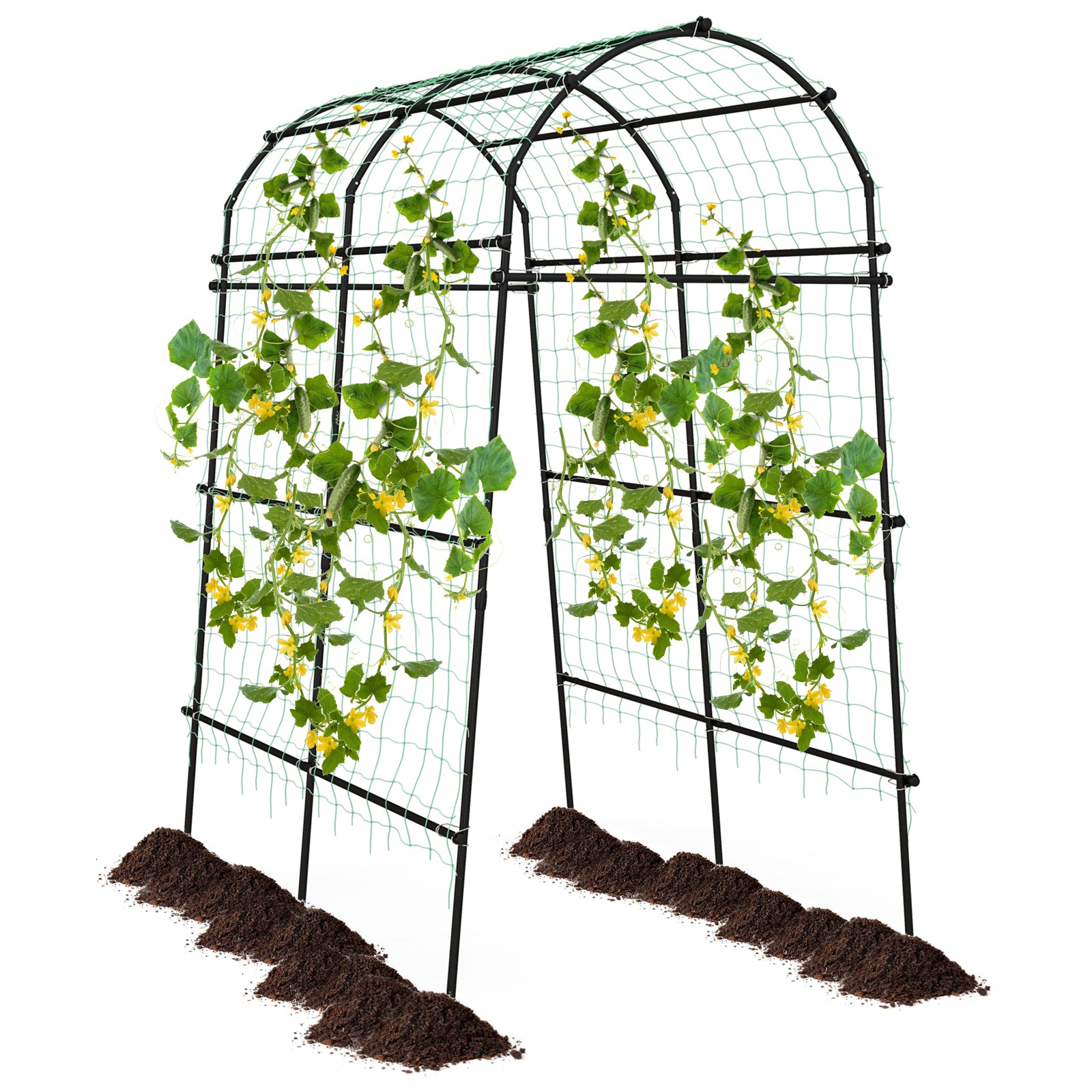 Garden Arch Trellis with PE Coated Metal Structure for Climbing Plants ...
