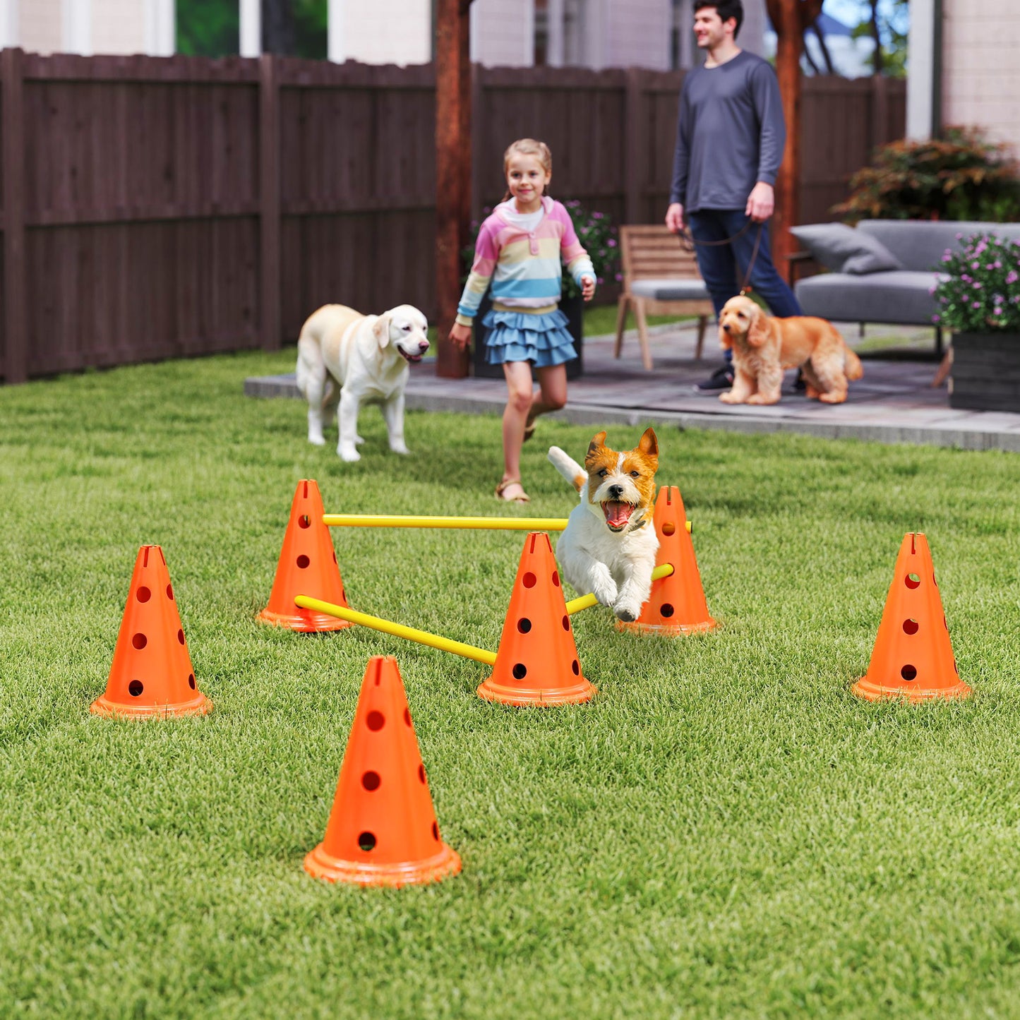 PawHut Dog Agility Equipment Set of Six Cones, Six Poles with Carry Bag, Three-Piece Adjustable Height Jumping Obstacles, Orang