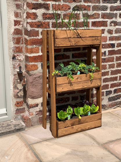 Country Kitchen Herb Garden Regular