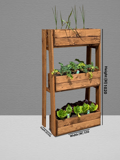 Country Kitchen Herb Garden Regular