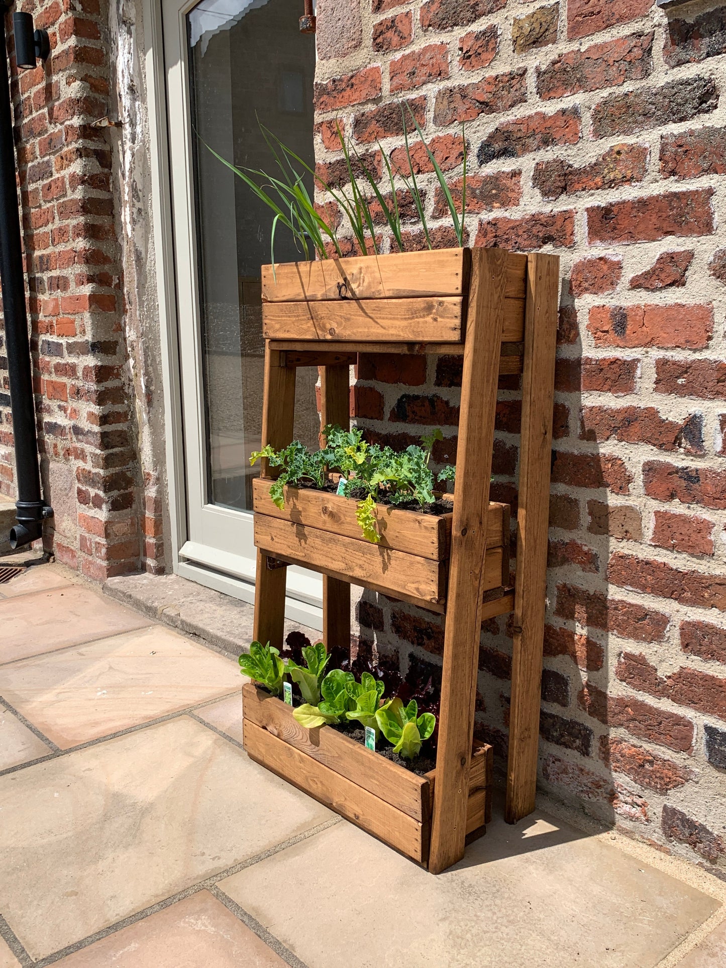 Country Kitchen Herb Garden Regular
