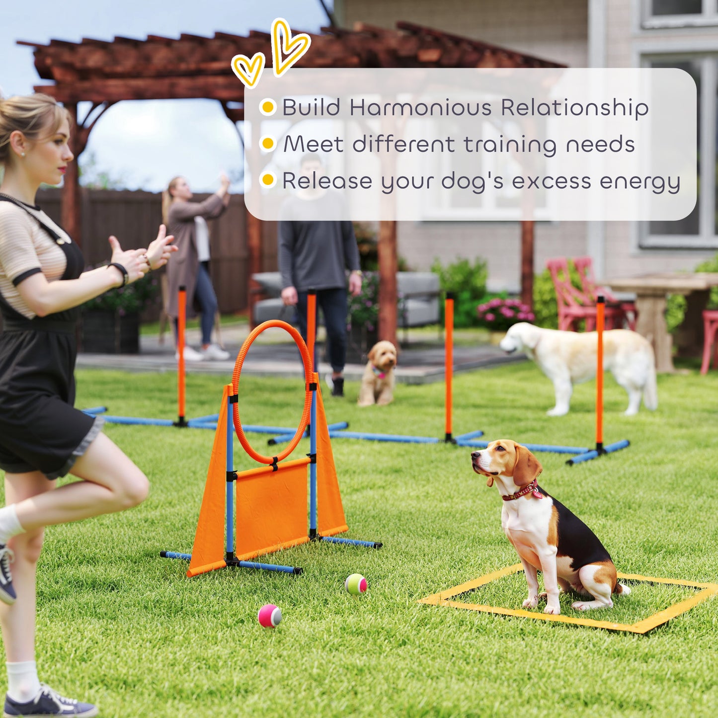 PawHut 6-Piece Dog Agility Equipment Set with Weave Poles, Jump Ring, Hurdle, Pause Box, Bag, Orange
