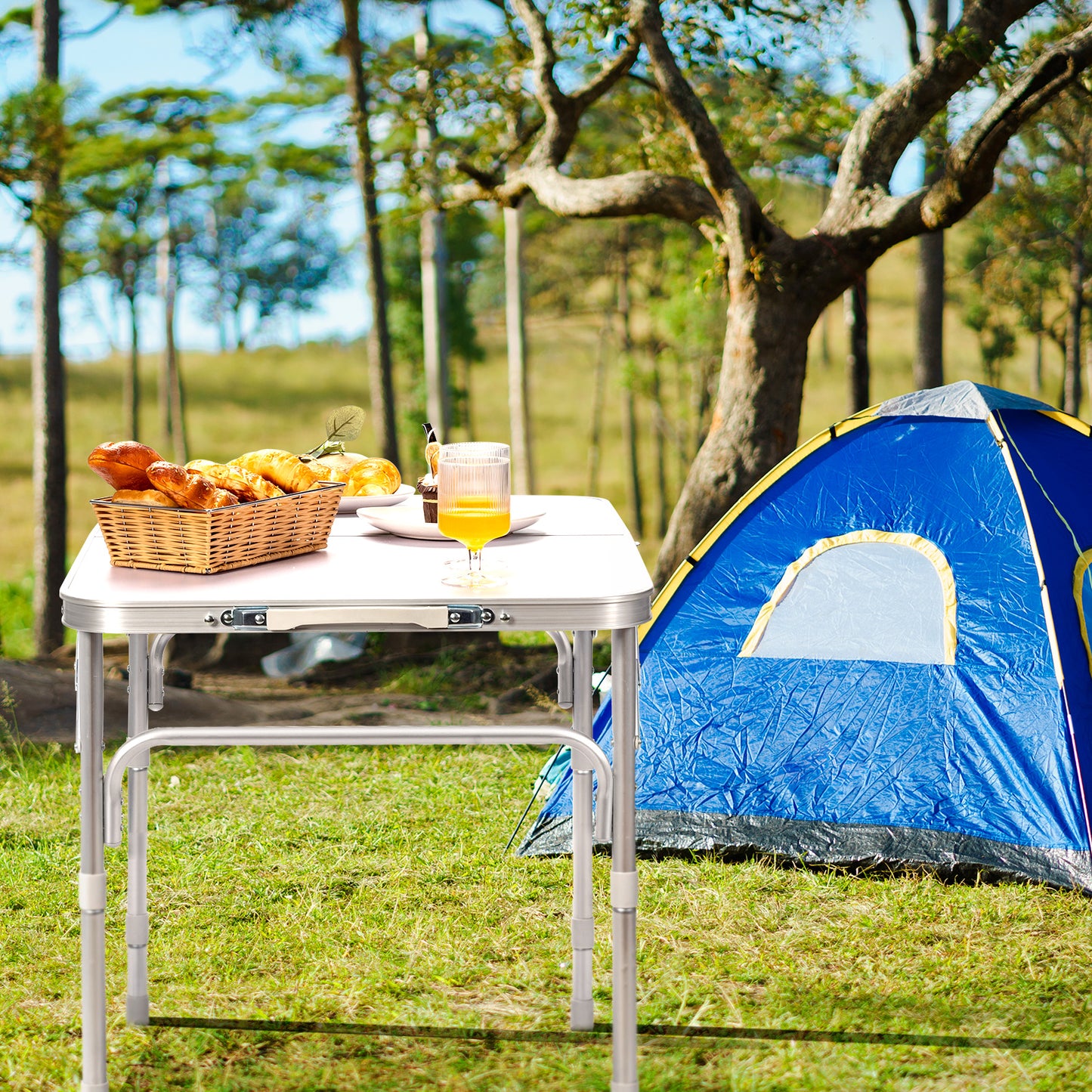 Aluminum Folding Camping Table with 3 Adjustable Positions