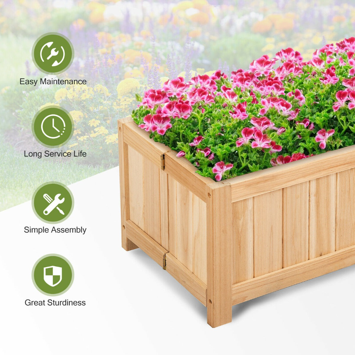 Wooden Cold Frame Greenhouse for Outdoor