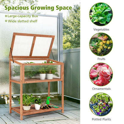 Outdoor Wooden Cold Frame with Slatted Shelf and Tilted Top Cover