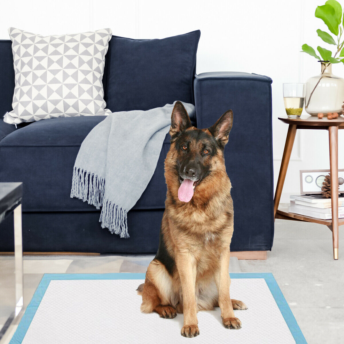 Pet Pee pads with 5-Layer Design of 4 Sizes-Size 2
