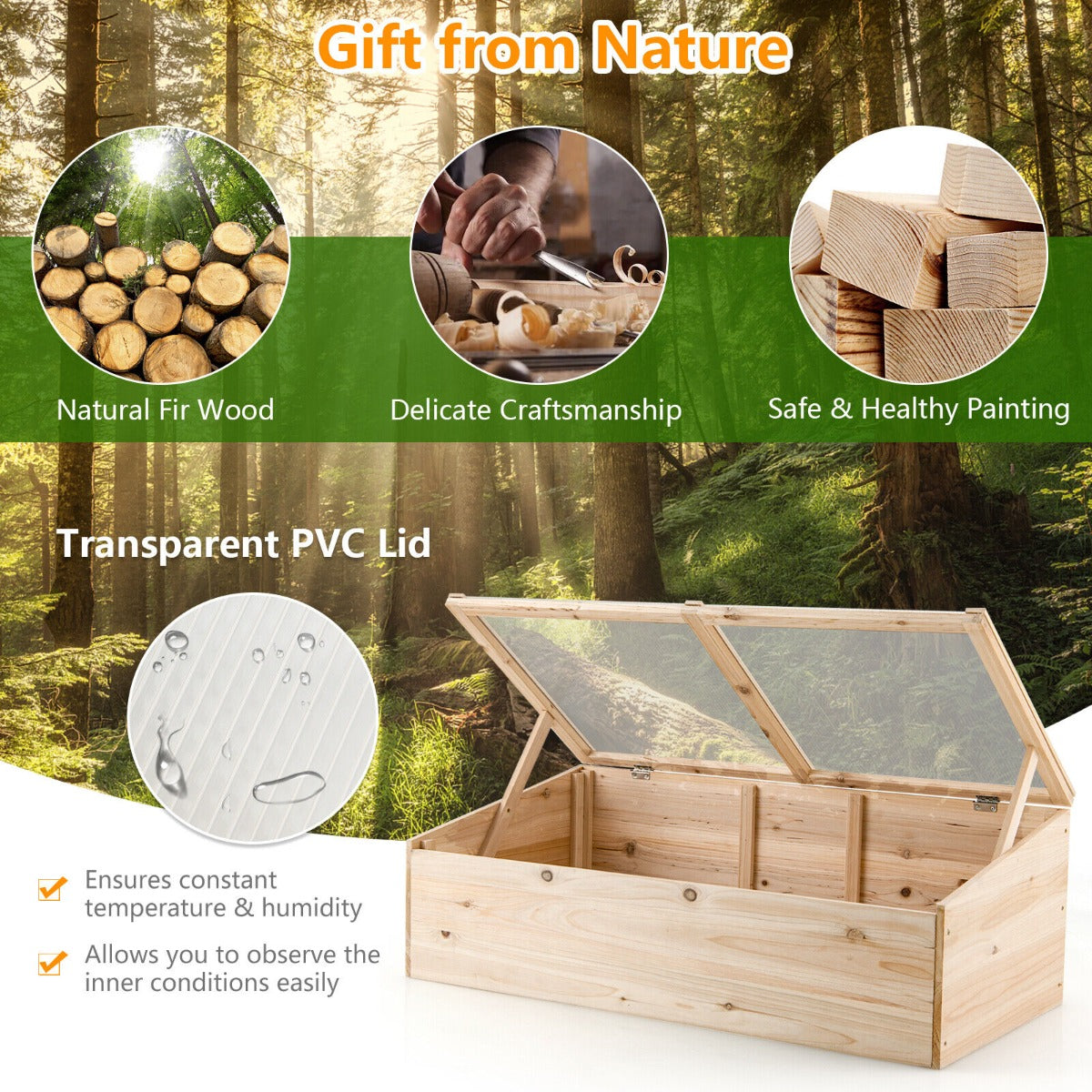 Transparency Tree Stand Wooden Plant Stand with Transparent Top Cover and Supporting Rods ...