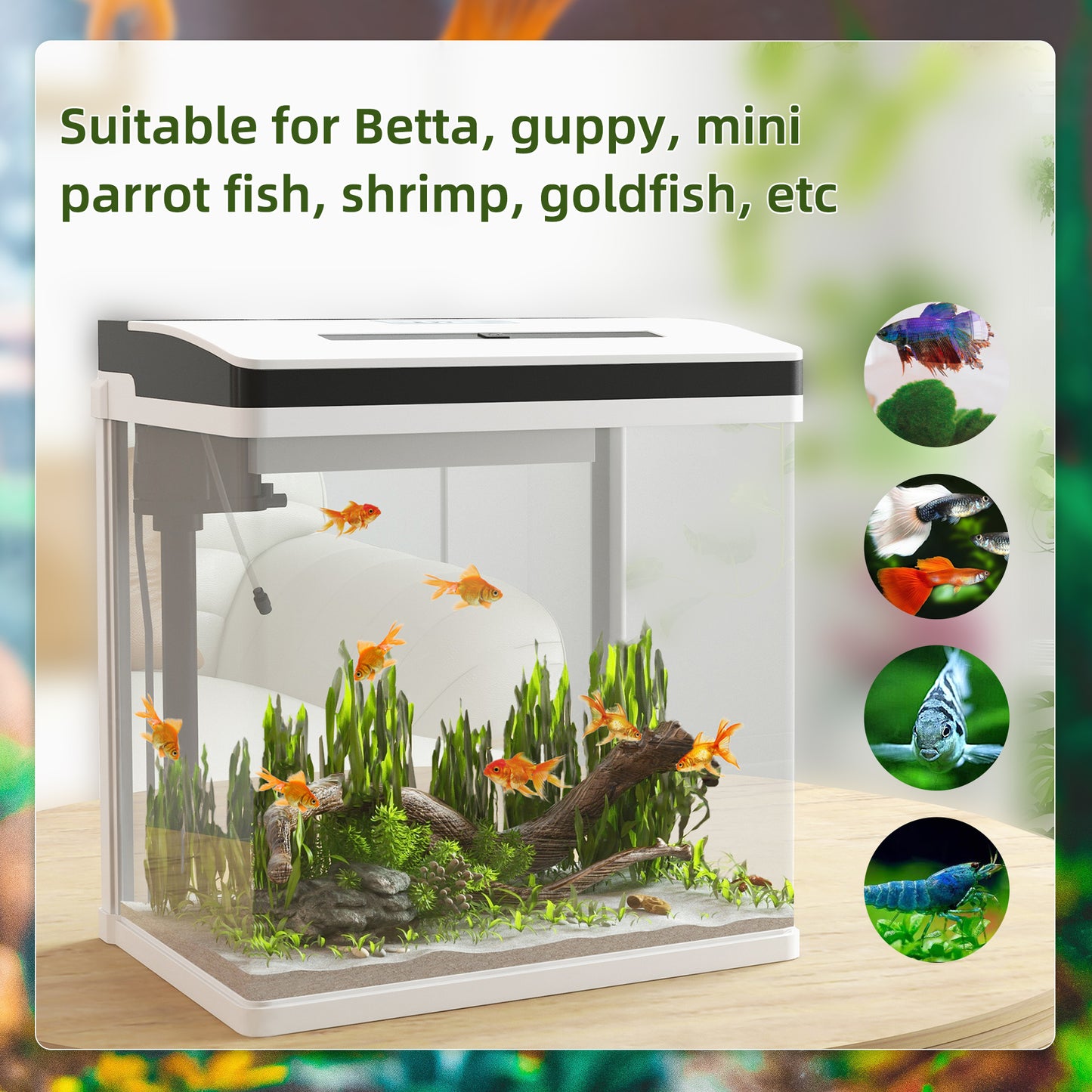 PawHut 28L Glass Aquarium Fish Tank with Filter, LED Lighting, for